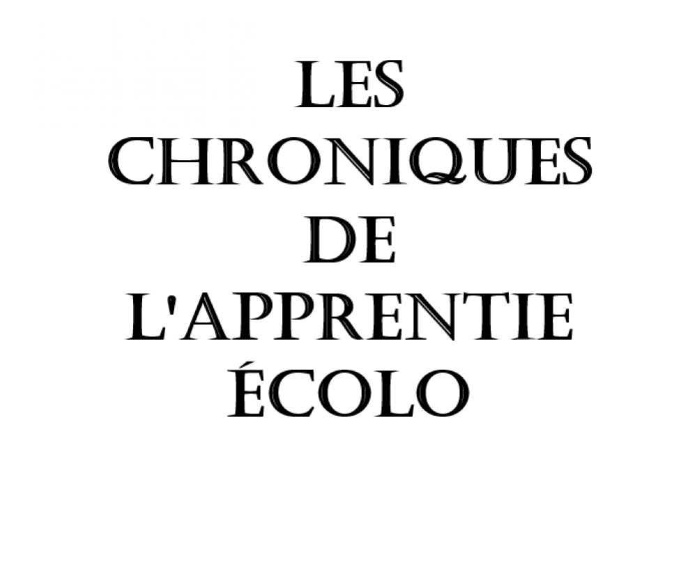 Les-chroniques-de-l'apprentie-écolo