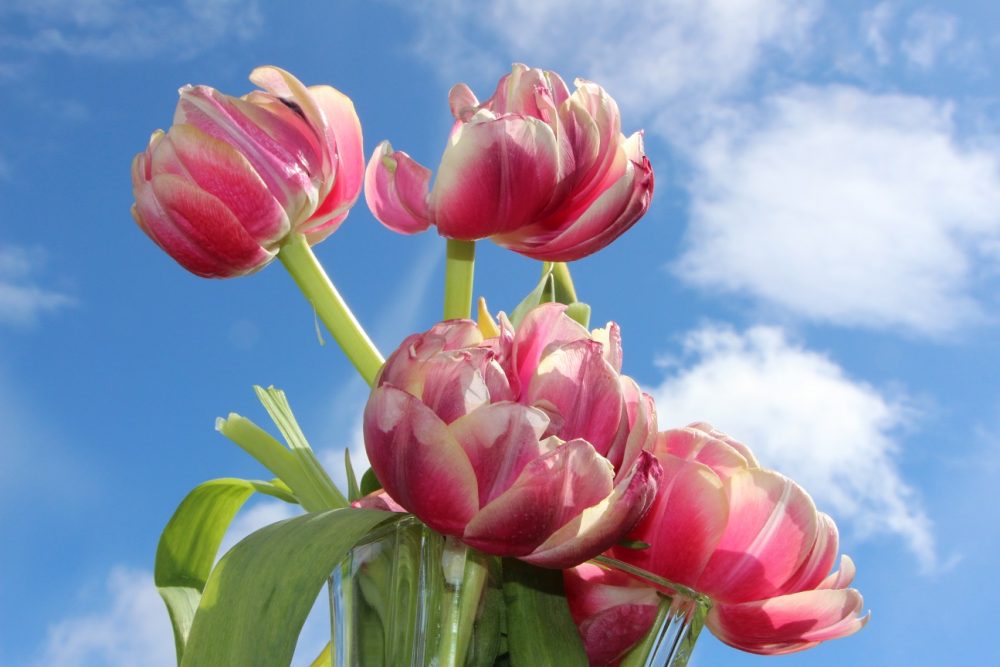 Bouquet composé de 4 fleurs coupées