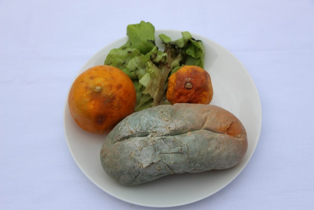 Salade, oranges et pain périmés dans une assiette